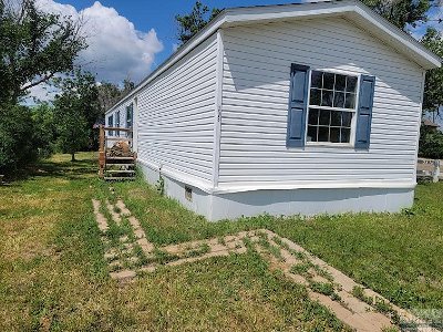 Single Family Home For Sale: 103 S 5th Street E