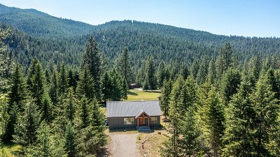 Single Family Home For Sale: 320 Fairview Drive