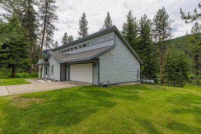 Single Family Home For Sale: 264 Trestle Creek Drive