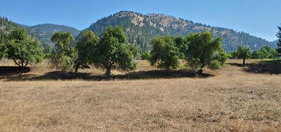 Residential Lots & Land For Sale: 18605 East Mullan Road