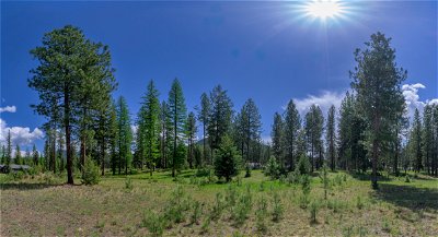 Saint Regis MT Residential Lots & Land For Sale: $129,900
